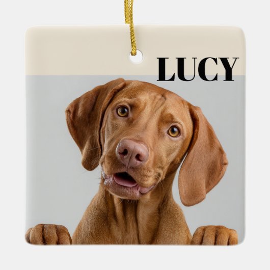 Custom Christmas Photo Ornament Dog & Name (Vorderseite)
