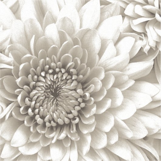 Custom-Cut Vinyl Sticker (Vorderseite)