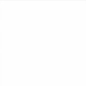 Custom-Cut Vinyl Sticker (Vorderseite)