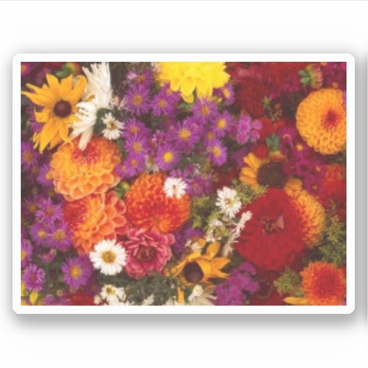 Custom-Cut Vinyl Stickera Aufkleber (Vorderseite)