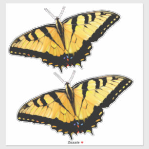 Custom Cut Vinyl Stickers - 2 Tiger Fracks Aufkleber