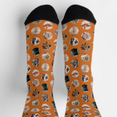 Custom Cute 8-Photo Pet Collage | Orange Socken (Oben)