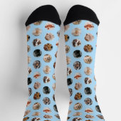 Custom Cute 8-Photo Pet Collage | Pastel Blue Socken (Oben)