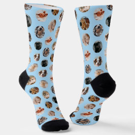 Custom Cute 8-Photo Pet Collage | Pastel Blue Socken