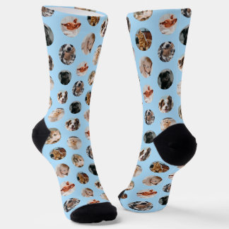 Custom Cute 8-Photo Pet Collage | Pastel Blue Socken