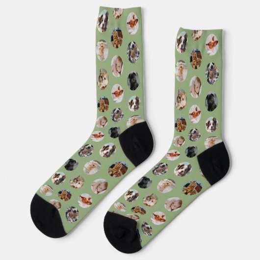 Custom Cute 8-Photo Pet Collage | Sage Green Socken (Linkes Detail)