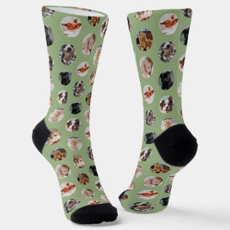 Custom Cute 8-Photo Pet Collage | Sage Green Socken