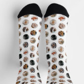 Custom Cute 8-Photo Pet Collage | White Socken (Oben)