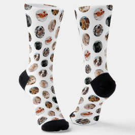 Custom Cute 8-Photo Pet Collage | White Socken
