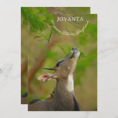 Custom deer einladung (Vorne/Hinten)