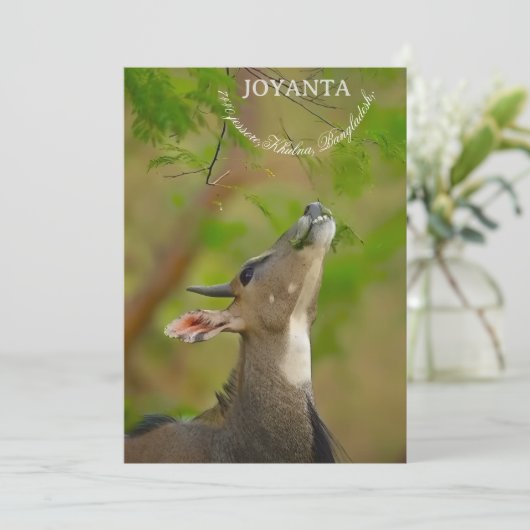 Custom deer einladung (Stehend Vorderseite)