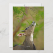 Custom deer einladung (Rückseite)