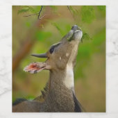 Custom deer weinetikett (Einzelnes Label)