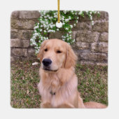 Custom Dog Foto Collage Niedlich Blue Pet Weihnach Keramikornament (Rückseite)