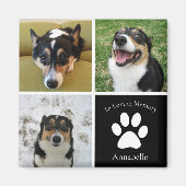 Custom Dog Foto Memorial Collage Keepake Geschenk Magnet (Vorne)