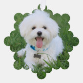 Custom Dog Foto Ornament Red Karte (Vorderseite)