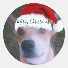 Custom Dog Foto Weihnachten Runder Aufkleber