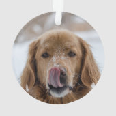 Custom Dog Holiday Ornament | Haustiere | Welpe (Rückseite)