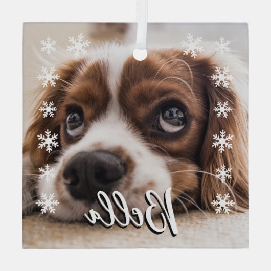 Custom Dog Name Foto Schneeflocken Weihnachten Ornament Aus Glas (Rückseite)
