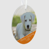 Custom Dog Pet Orange Foto Weihnachtskuchen Ornament (Vorderseite)