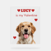 Custom Dog Photo Acrylic Sign Acrylschild (Vorderseite)