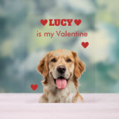 Custom Dog Photo Acrylic Sign Acrylschild (Neutral)