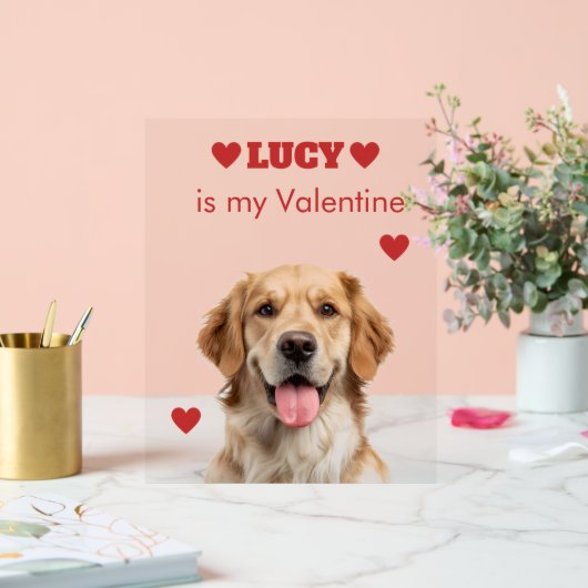 Custom Dog Photo Acrylic Sign Acrylschild (Hochzeit)