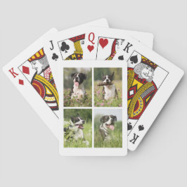 Custom Dog Photo Collage Spielkarten