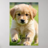 Custom Dog Photo Poster with Name Wall Art (Vorne)
