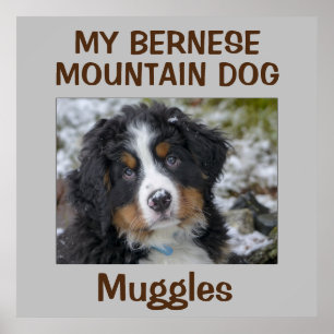 Custom Dog Wall Art Poster