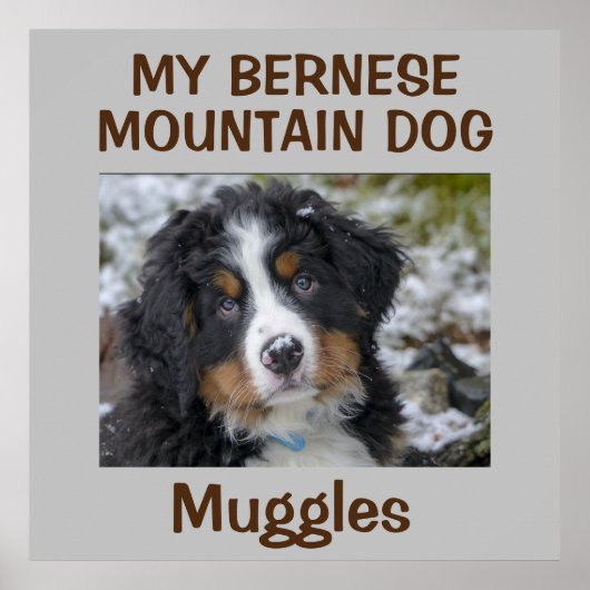 Custom Dog Wall Art Poster (Vorne)