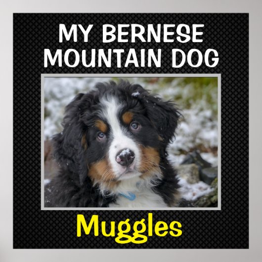 Custom Dog Wall Art Poster (Vorne)