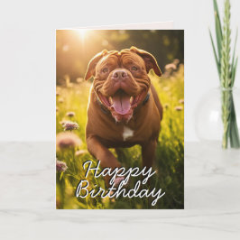 Custom Dogue de Bordeaux Happy Birthday Card Dankeskarte