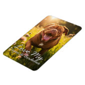 Custom Dogue de Bordeaux Kühlschrank Magnet (Linke Seite)