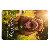Custom Dogue de Bordeaux Kühlschrank Magnet (Horizontal)