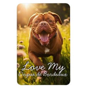 Custom Dogue de Bordeaux Kühlschrank Magnet