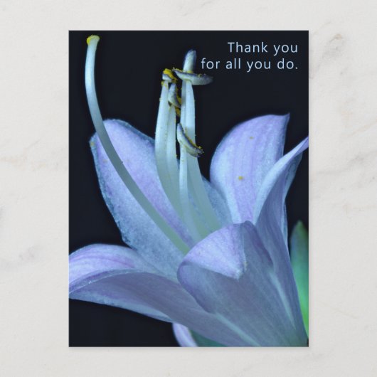 Custom Elegante Lavender Blume Danke Postcard Postkarte (Vorderseite)