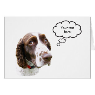 Custom English Springer Spanische Card