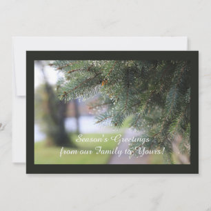 Custom Evergreen Landscape Nature Foto Dunkelgrün Feiertagskarte