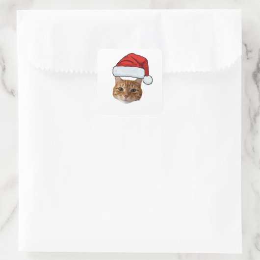 Custom Face Cat Santa Hat Photo Christmas Quadratischer Aufkleber (Tasche)