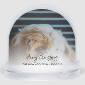Custom Family Foto und Haustier Weihnachten Schneekugeln (Rückseite)