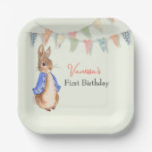 Custom First Birthday Peter der Kaninchenbunte Pappteller (Vorderseite)