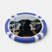 Custom Foto Animal Fundraiser Casino Pokerchips (Einzeln)