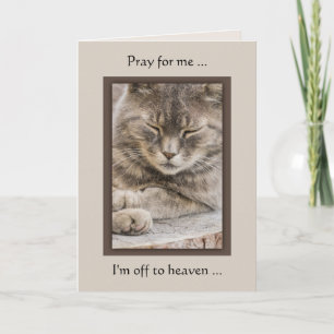 Custom Foto Cat Sympathy Card Karte