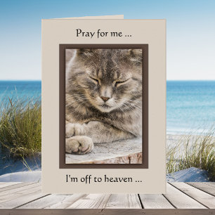 Custom Foto Cat Sympathy Card Karte