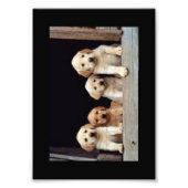 CUSTOM FOTO DRUCKEN (Vorne)