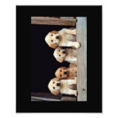 CUSTOM FOTO DRUCKT 8 X 10 (Vorne)