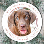 Custom Foto Elegante Rose Gold Hochzeit Runder Aufkleber<br><div class="desc">Fügen Sie die abschließende Touch zu Ihrem Hund Hochzeitsankündigungen mit diesen maßgeschneiderten Foto, und personalisiert "My Humans Got Verheiratete Aufkleber. Passen Sie mit Ihrem bevorzugten Foto, Namen und Datum an. COPYRIGHT © 2020 Judy Burrows, Black Dog Art - Alle Rechte vorbehalten. Custom Foto Elegante Rose Gold Wedding Classic Round Sticker...</div>