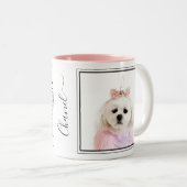 Custom Foto Hund Rasse Fakten Malteser Zweifarbige Tasse (VorderseiteRechts)