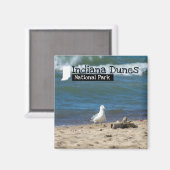 Custom Foto - Indiana Dunes National Park Magnet (Vorderseite/Rückseite)